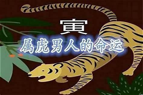 98年属啥|1998年属虎的和什么属相最配